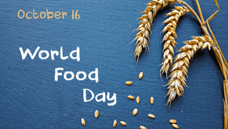 Kế hoạch tổ chức chương trình ngày hội "FOOD SHARING DAY"